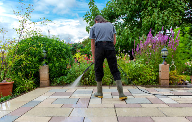 Best Sidewalk and Walkway Cleaning  in Lake Hamilton, FL